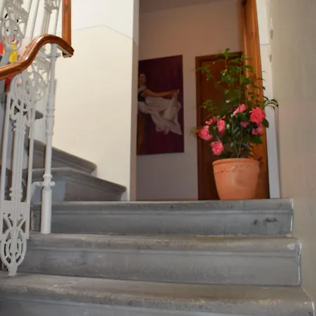 Hotel Dalmazia 2*
